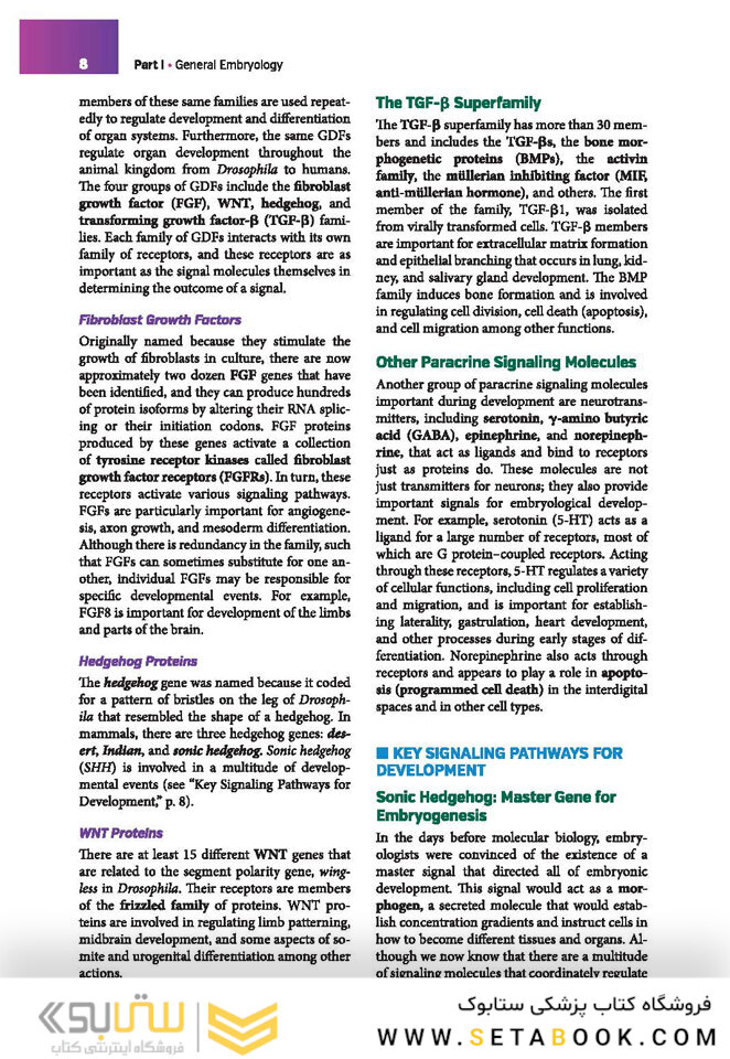 Langman’s Medical Embryology , 14th edition