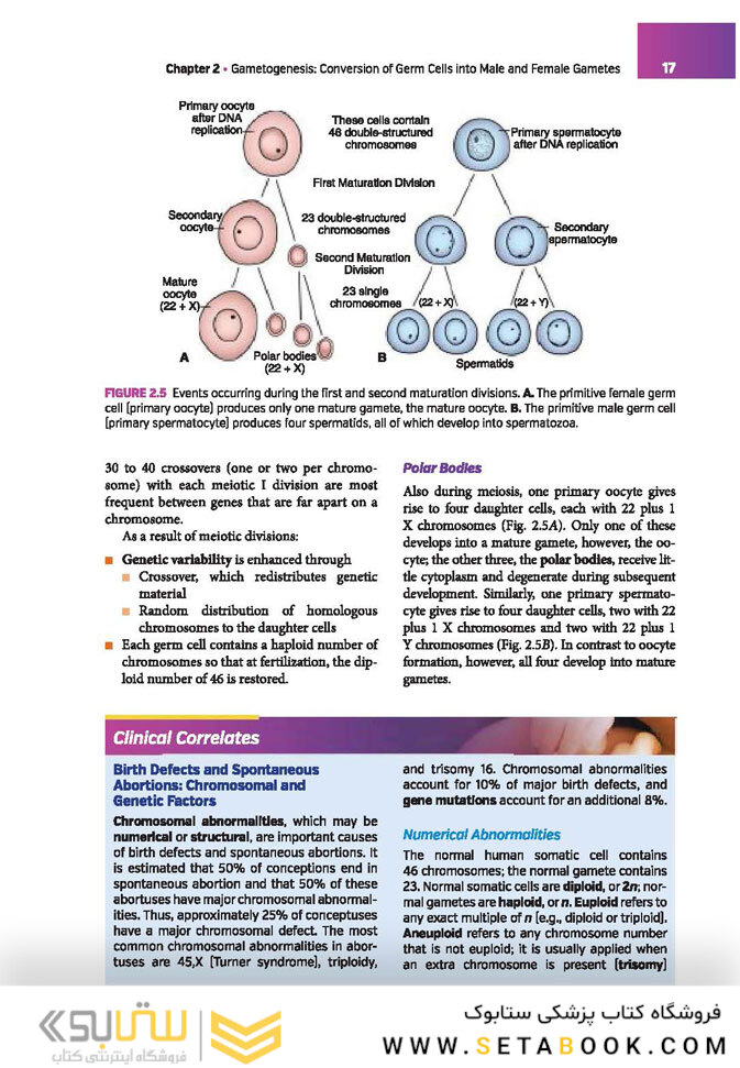 Langman’s Medical Embryology , 14th edition