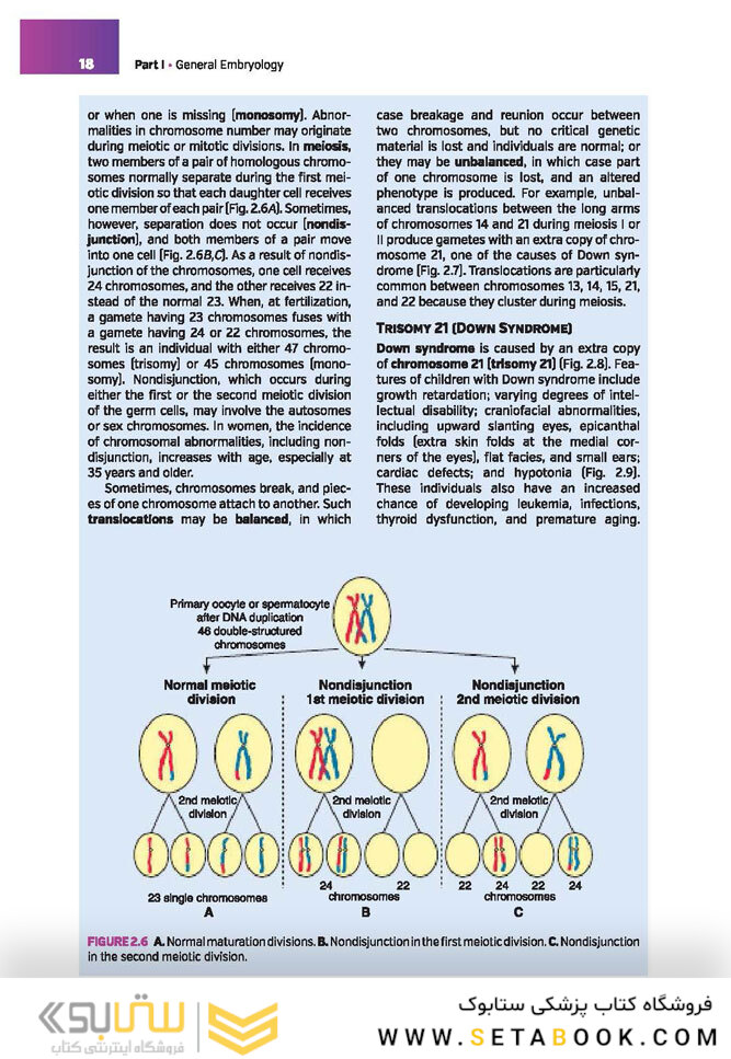 Langman’s Medical Embryology , 14th edition