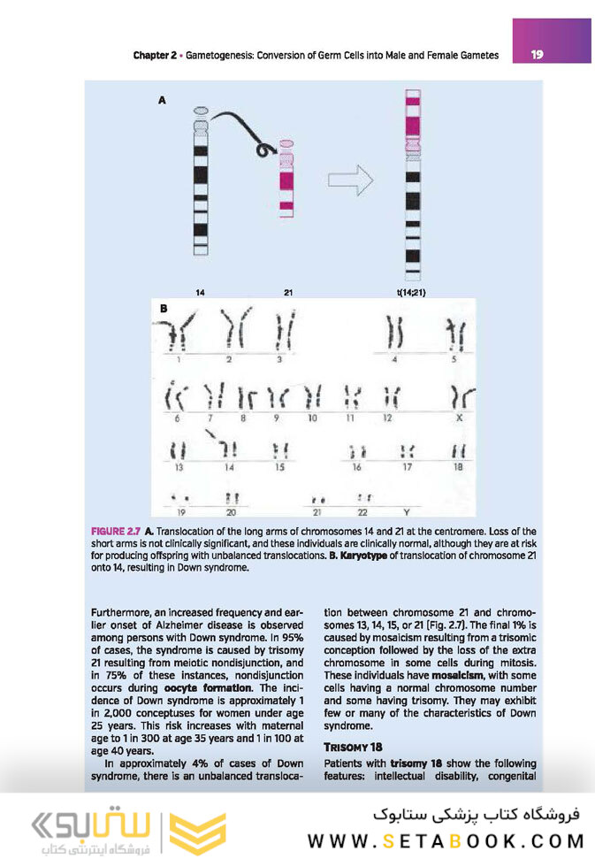 Langman’s Medical Embryology , 14th edition