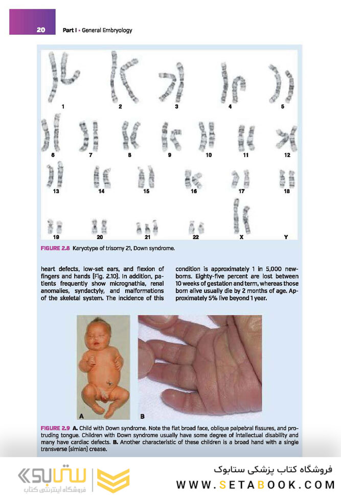 Langman’s Medical Embryology , 14th edition