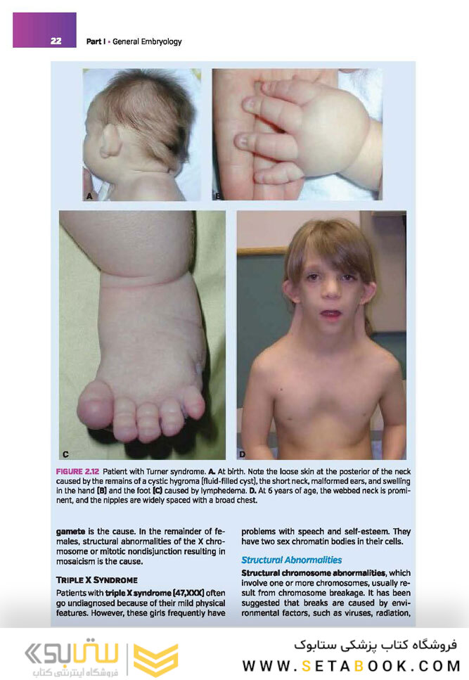 Langman’s Medical Embryology , 14th edition