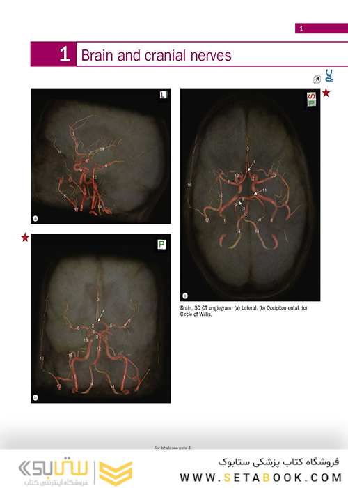 Weir - Abrahams’ Imaging Atlas of Human Anatomy