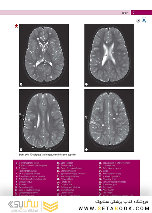 Weir - Abrahams’ Imaging Atlas of Human Anatomy