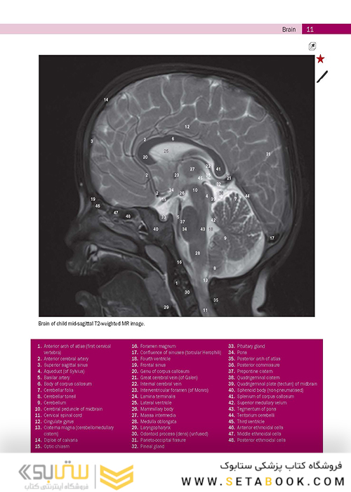 Weir - Abrahams’ Imaging Atlas of Human Anatomy