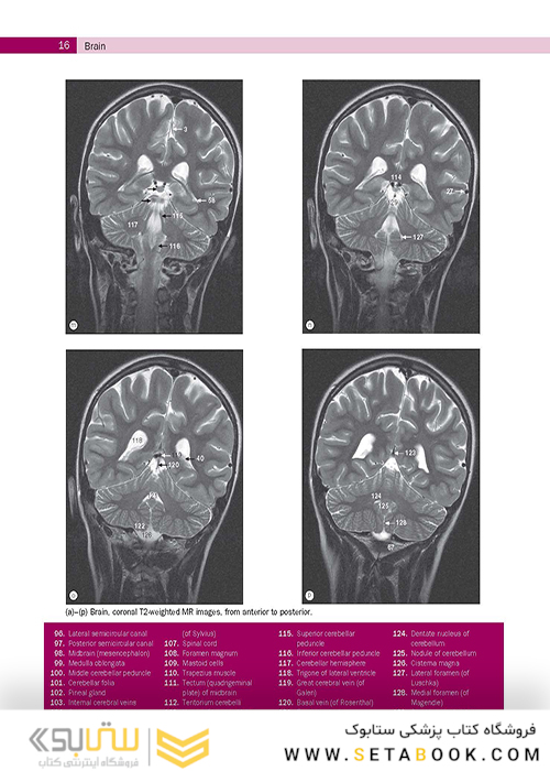 Weir - Abrahams’ Imaging Atlas of Human Anatomy