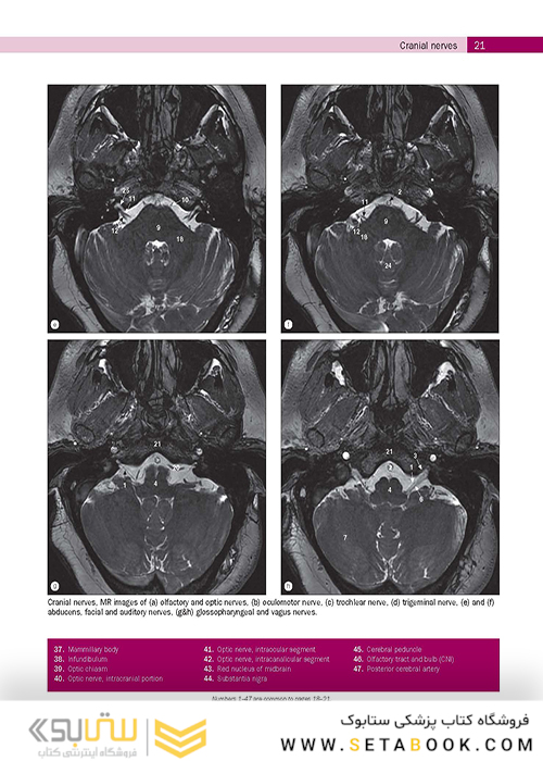 Weir - Abrahams’ Imaging Atlas of Human Anatomy