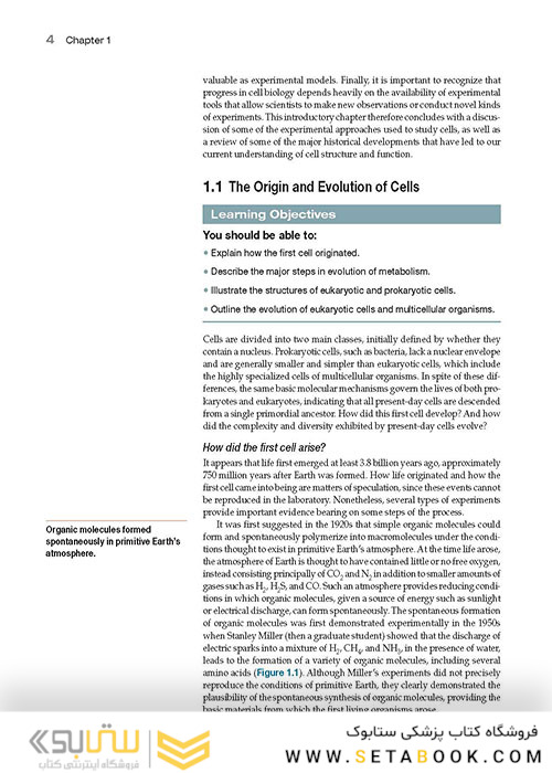 The Cell: A Molecular Approach 8th Edition 2019