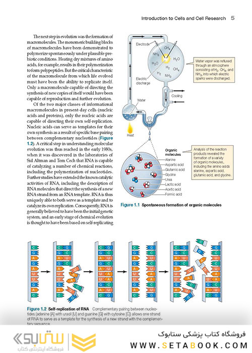 The Cell: A Molecular Approach 8th Edition 2019