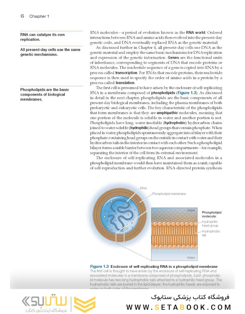 The Cell: A Molecular Approach 8th Edition 2019