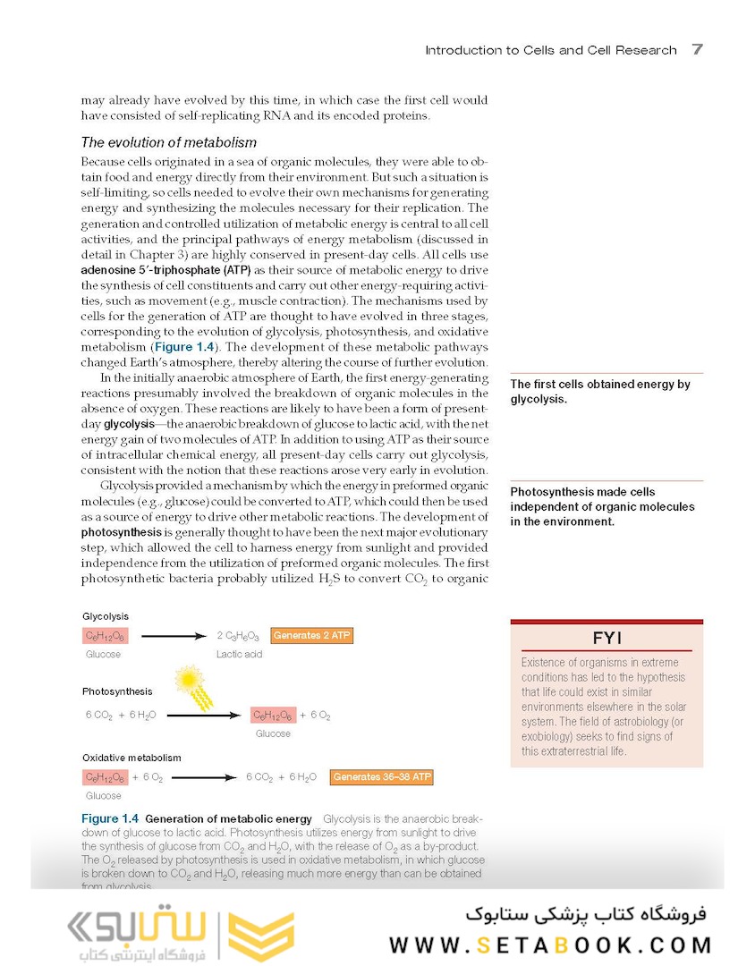 The Cell: A Molecular Approach 8th Edition 2019