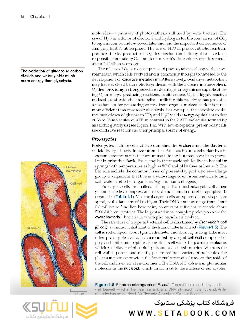 The Cell: A Molecular Approach 8th Edition 2019