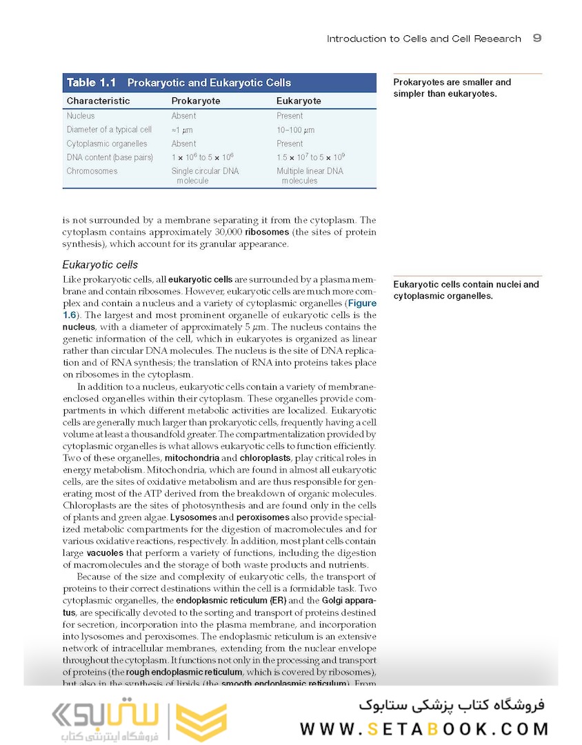 The Cell: A Molecular Approach 8th Edition 2019