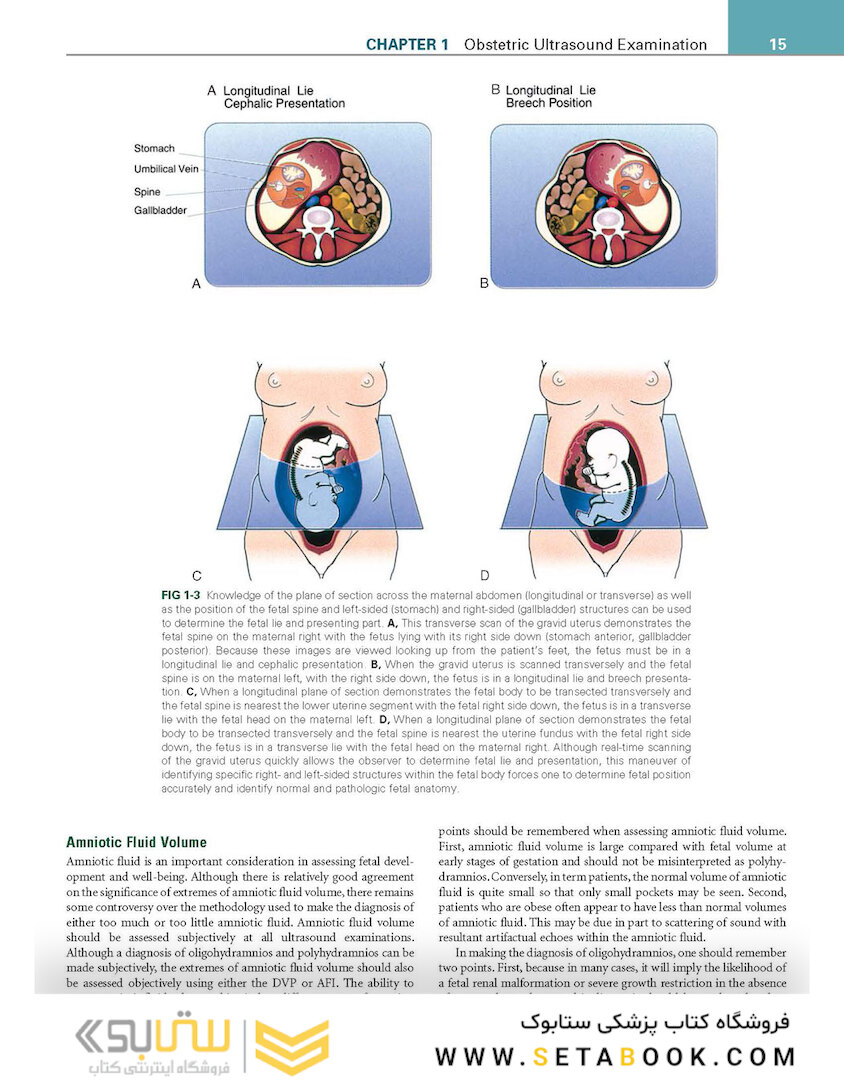 Callen’s Ultrasonography in Obstetrics and Gynecology, 6th Edition