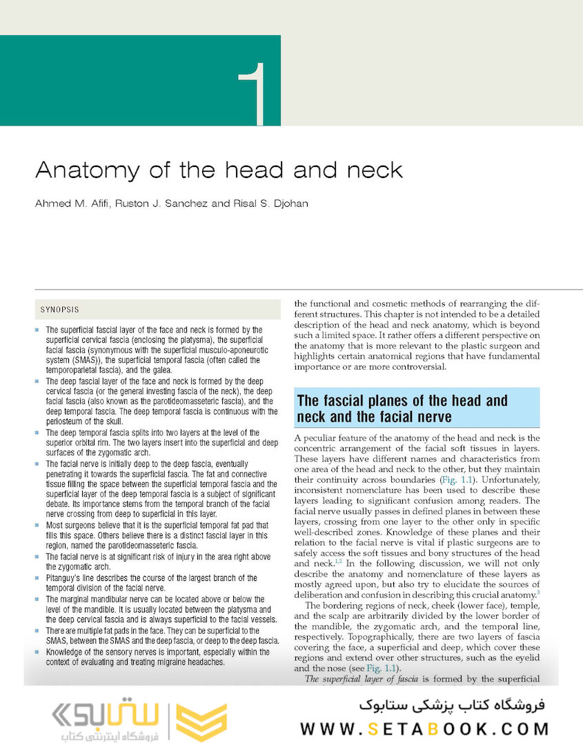 Plastic Surgery: Volume 3: Craniofacial, Head and Neck Surgery and Pediatric Plastic Surgery 4th Edicion 2018