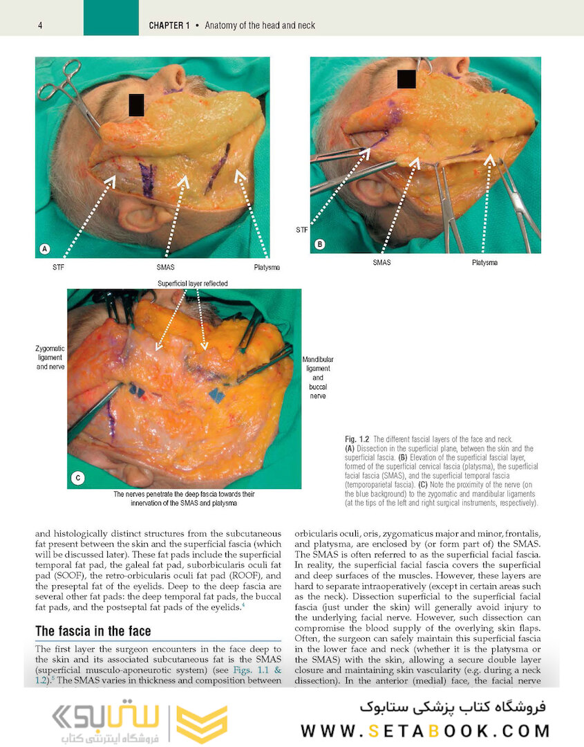 Plastic Surgery: Volume 3: Craniofacial, Head and Neck Surgery and Pediatric Plastic Surgery 4th Edicion 2018