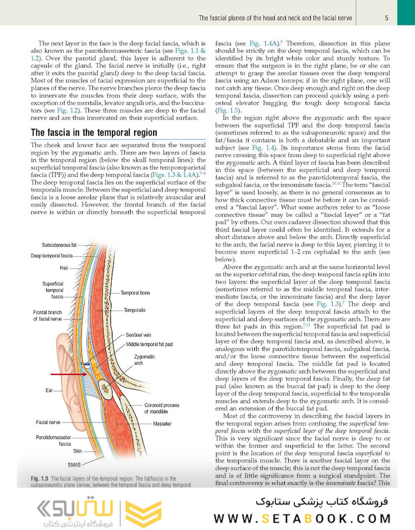 Plastic Surgery: Volume 3: Craniofacial, Head and Neck Surgery and Pediatric Plastic Surgery 4th Edicion 2018