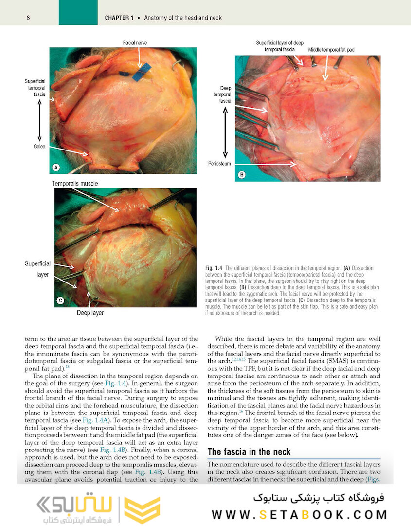 Plastic Surgery: Volume 3: Craniofacial, Head and Neck Surgery and Pediatric Plastic Surgery 4th Edicion 2018
