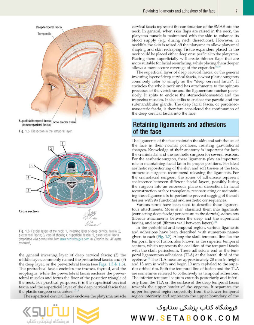 Plastic Surgery: Volume 3: Craniofacial, Head and Neck Surgery and Pediatric Plastic Surgery 4th Edicion 2018