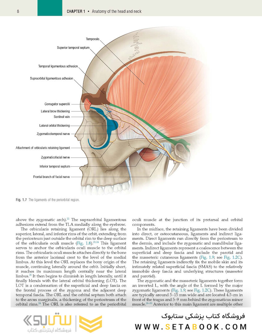 Plastic Surgery: Volume 3: Craniofacial, Head and Neck Surgery and Pediatric Plastic Surgery 4th Edicion 2018