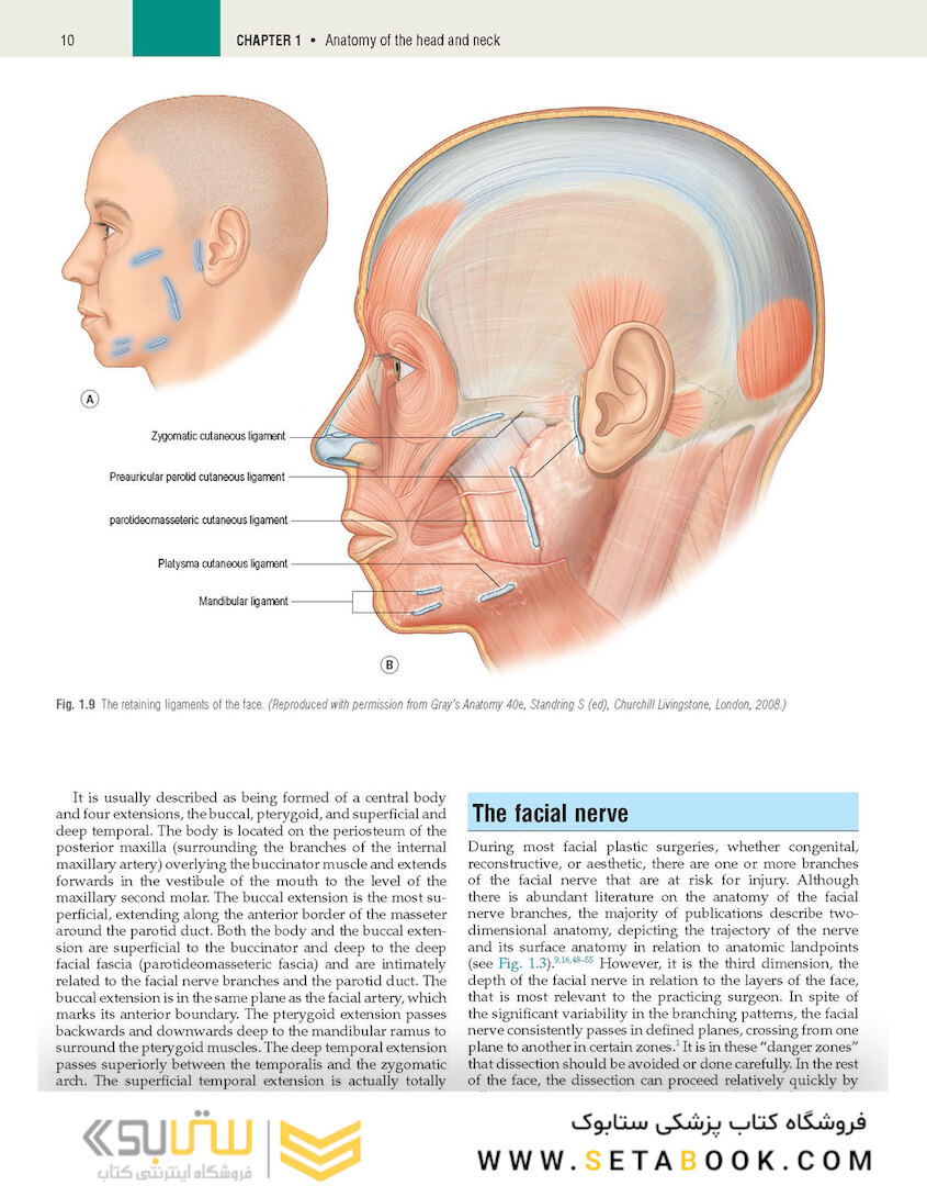 Plastic Surgery: Volume 3: Craniofacial, Head and Neck Surgery and Pediatric Plastic Surgery 4th Edicion 2018