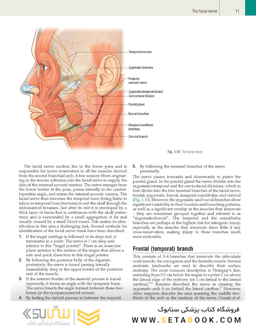 Plastic Surgery: Volume 3: Craniofacial, Head and Neck Surgery and Pediatric Plastic Surgery 4th Edicion 2018