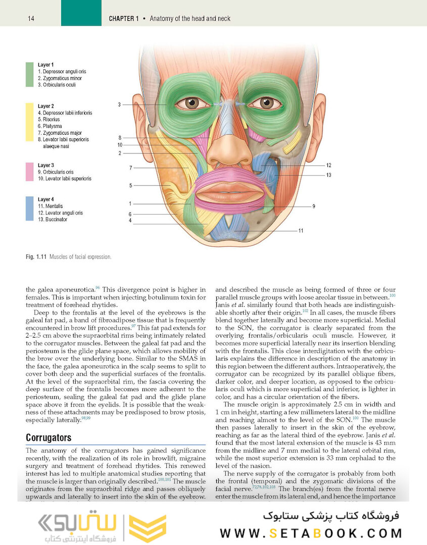 Plastic Surgery: Volume 3: Craniofacial, Head and Neck Surgery and Pediatric Plastic Surgery 4th Edicion 2018