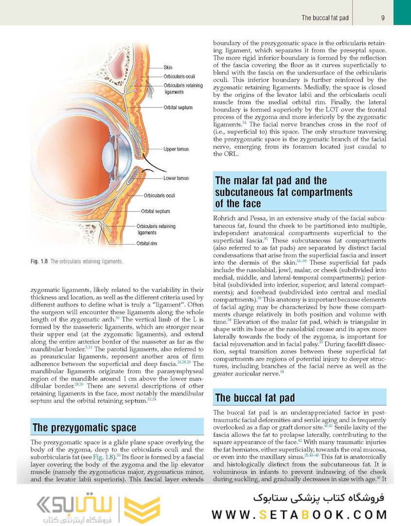 Plastic Surgery: Volume 3: Craniofacial, Head and Neck Surgery and Pediatric Plastic Surgery 4th Edicion 2018
