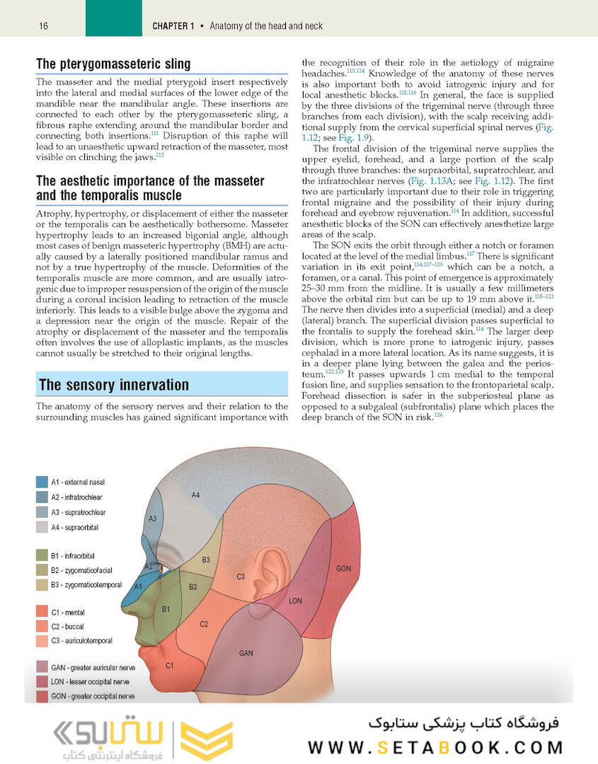 Plastic Surgery: Volume 3: Craniofacial, Head and Neck Surgery and Pediatric Plastic Surgery 4th Edicion 2018