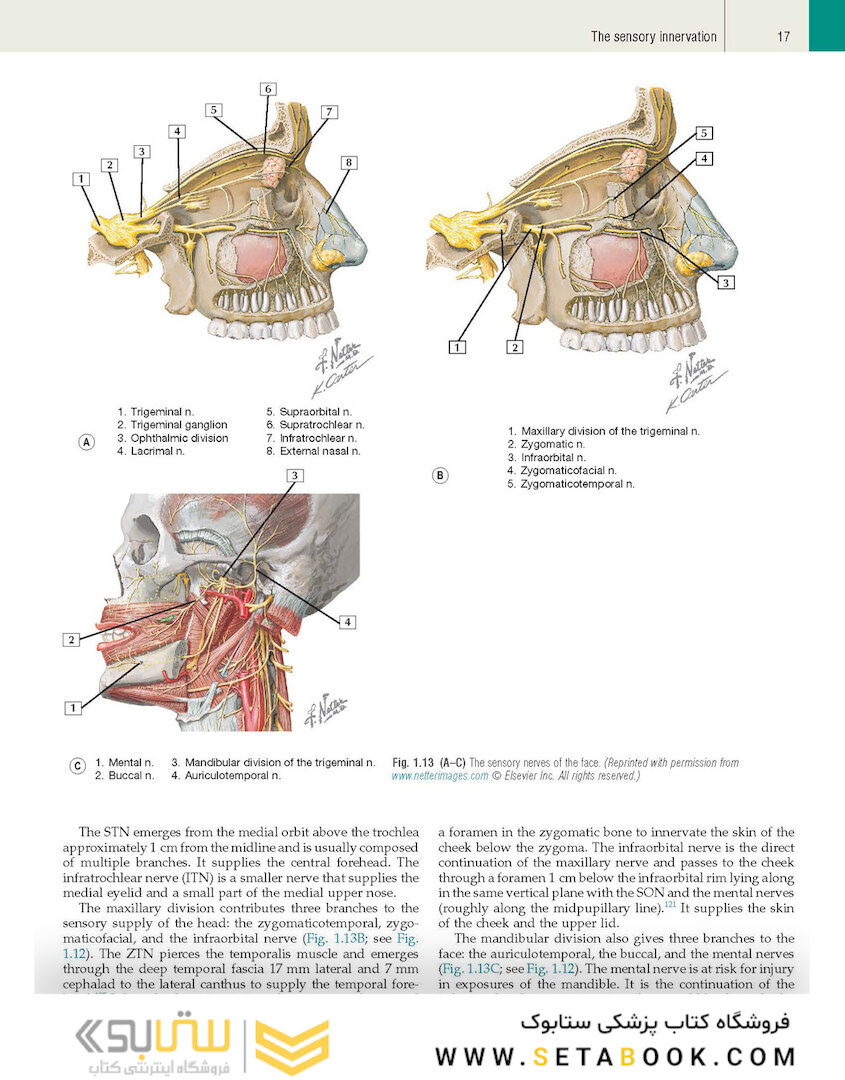 Plastic Surgery: Volume 3: Craniofacial, Head and Neck Surgery and Pediatric Plastic Surgery 4th Edicion 2018