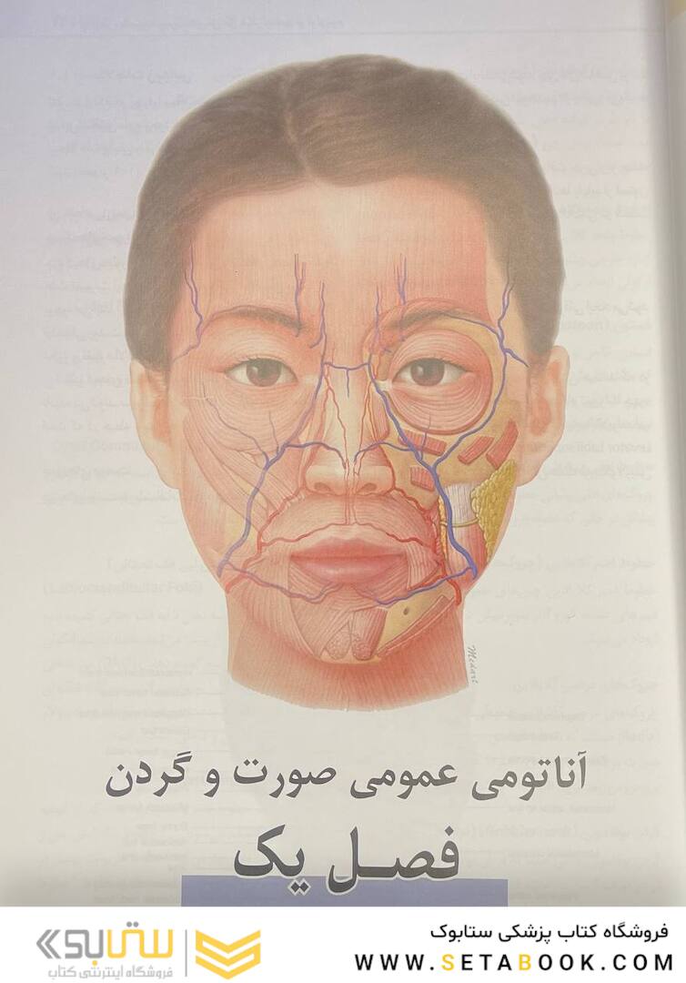 راهنمای کاربردی آناتومی بالینی صورت در تزریق فیلر و سم بوتولینوم