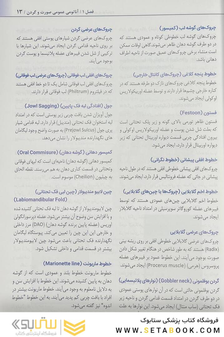 راهنمای کاربردی آناتومی بالینی صورت در تزریق فیلر و سم بوتولینوم