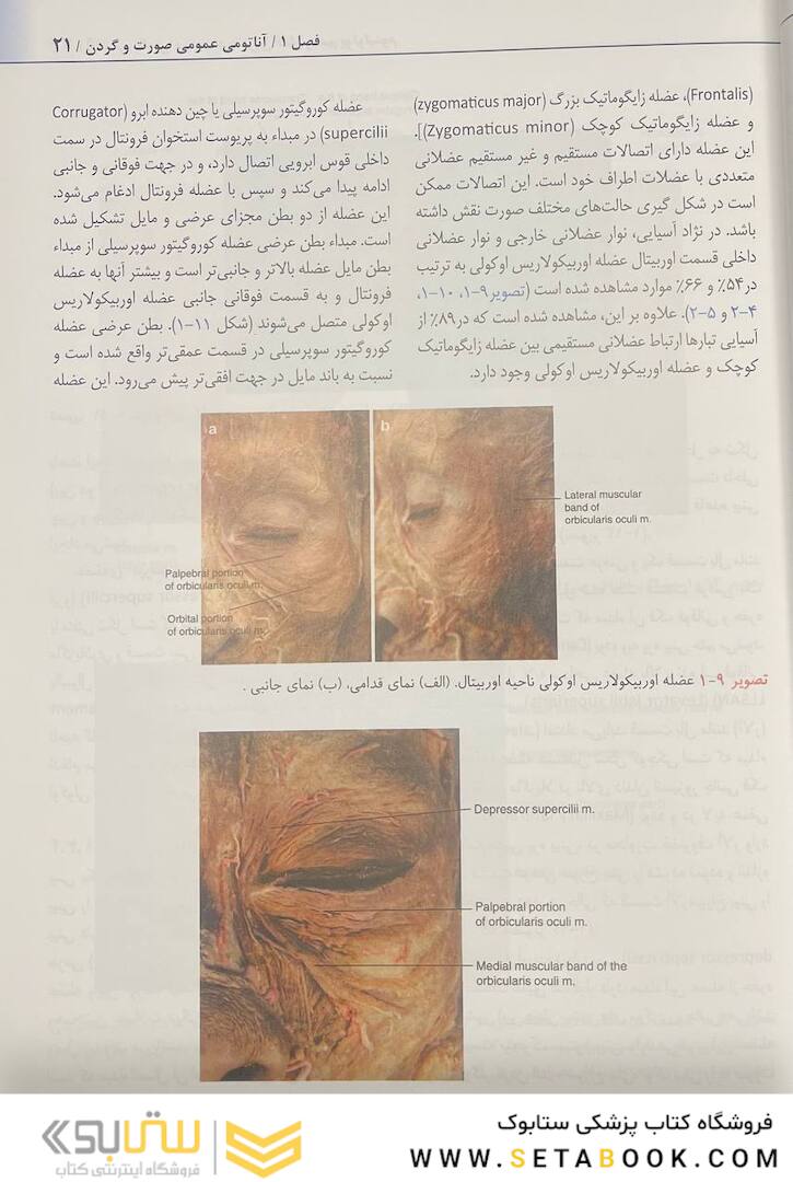 راهنمای کاربردی آناتومی بالینی صورت در تزریق فیلر و سم بوتولینوم