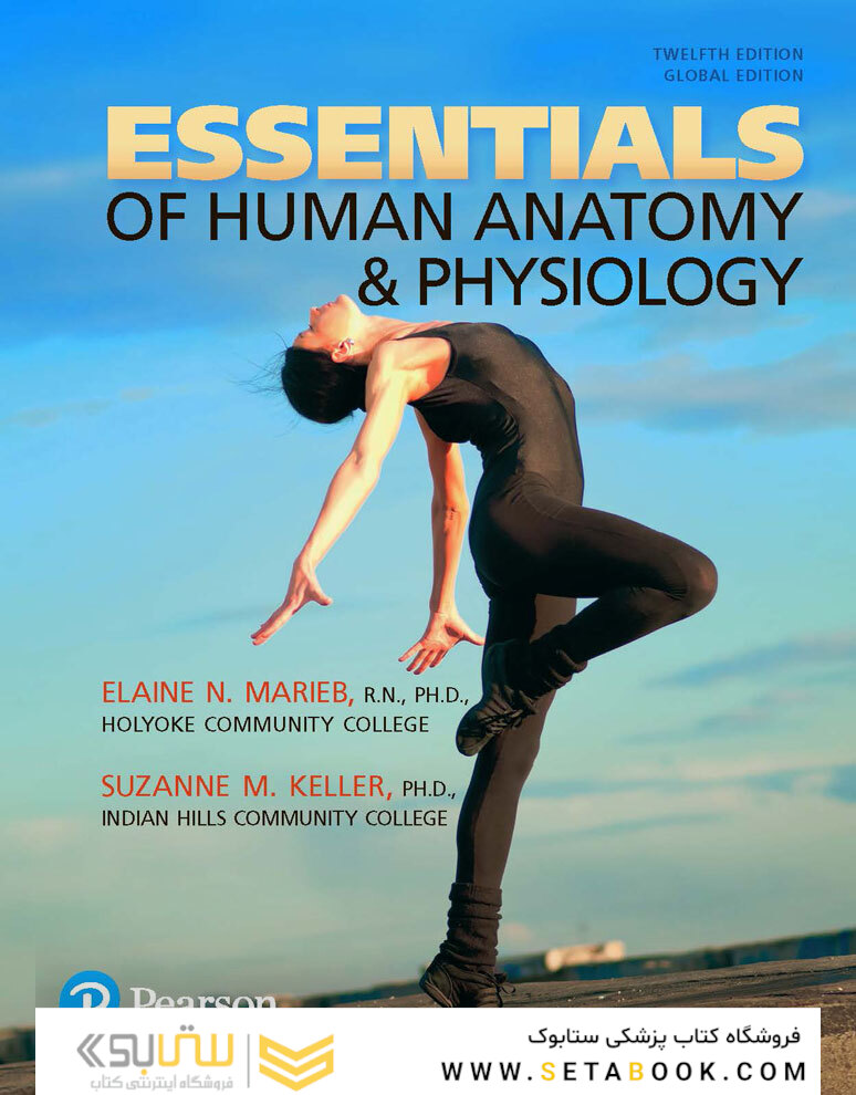 Essentials of Human Anatomy - Physiology plus Pearson Mastering Anatomy - Physiology with Pearson eText, Global Edition 12th Edición