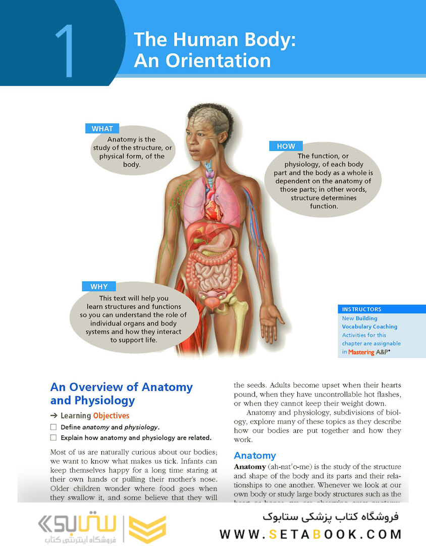 Essentials of Human Anatomy - Physiology plus Pearson Mastering Anatomy - Physiology with Pearson eText, Global Edition 12th Edición