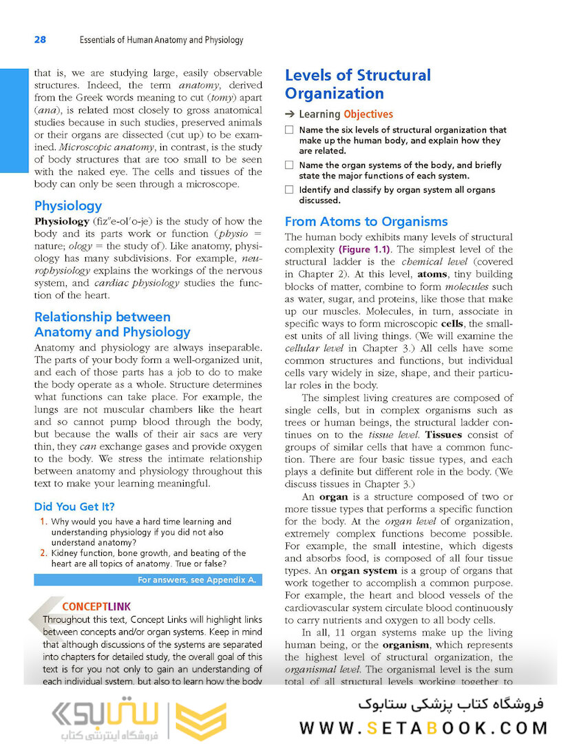 Essentials of Human Anatomy - Physiology plus Pearson Mastering Anatomy - Physiology with Pearson eText, Global Edition 12th Edición