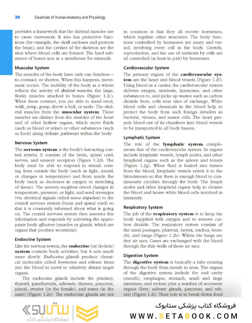 Essentials of Human Anatomy - Physiology plus Pearson Mastering Anatomy - Physiology with Pearson eText, Global Edition 12th Edición