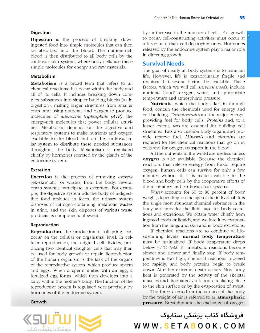 Essentials of Human Anatomy - Physiology plus Pearson Mastering Anatomy - Physiology with Pearson eText, Global Edition 12th Edición