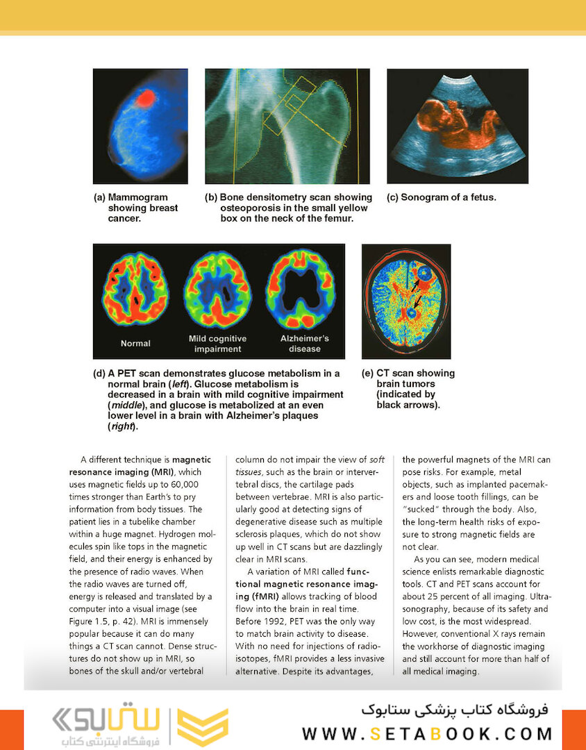 Essentials of Human Anatomy - Physiology plus Pearson Mastering Anatomy - Physiology with Pearson eText, Global Edition 12th Edición