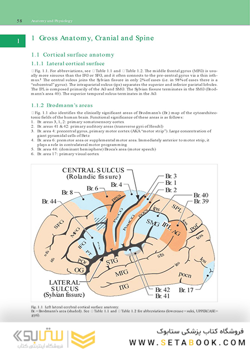 Handbook of Neurosurgery