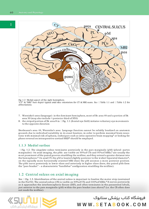 Handbook of Neurosurgery