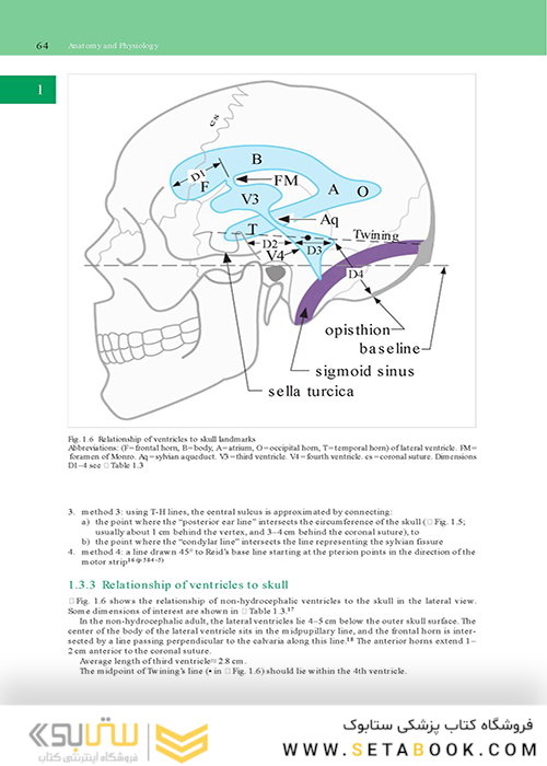 Handbook of Neurosurgery