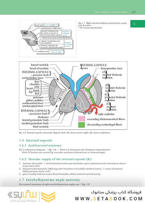 Handbook of Neurosurgery