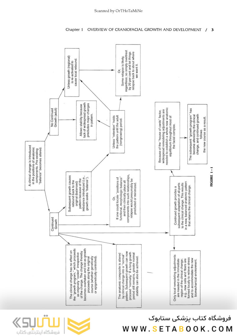 Essentials of Facial Growth