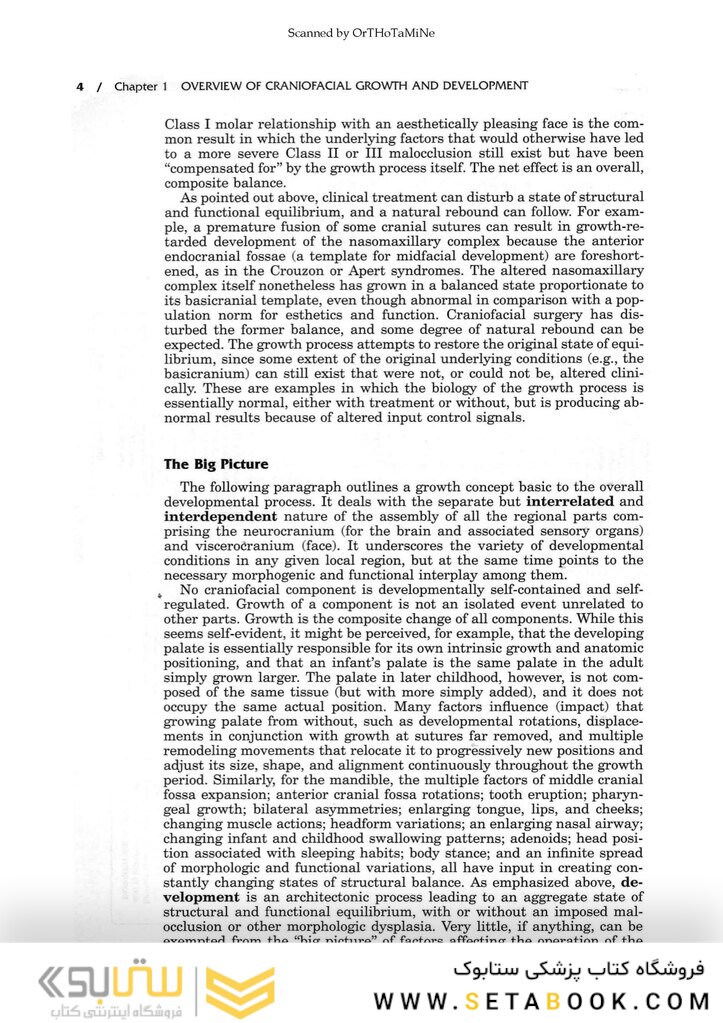 Essentials of Facial Growth