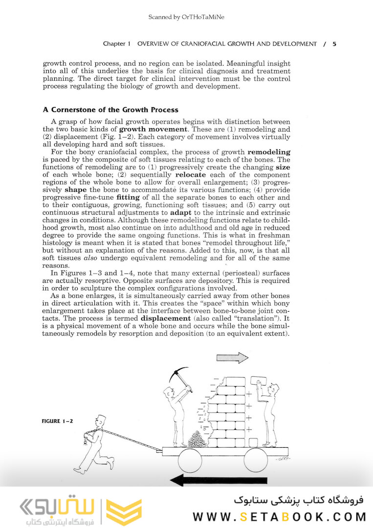 Essentials of Facial Growth