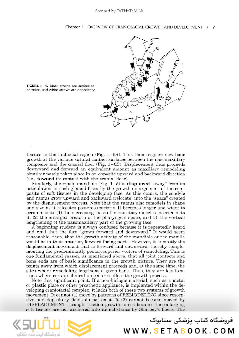 Essentials of Facial Growth