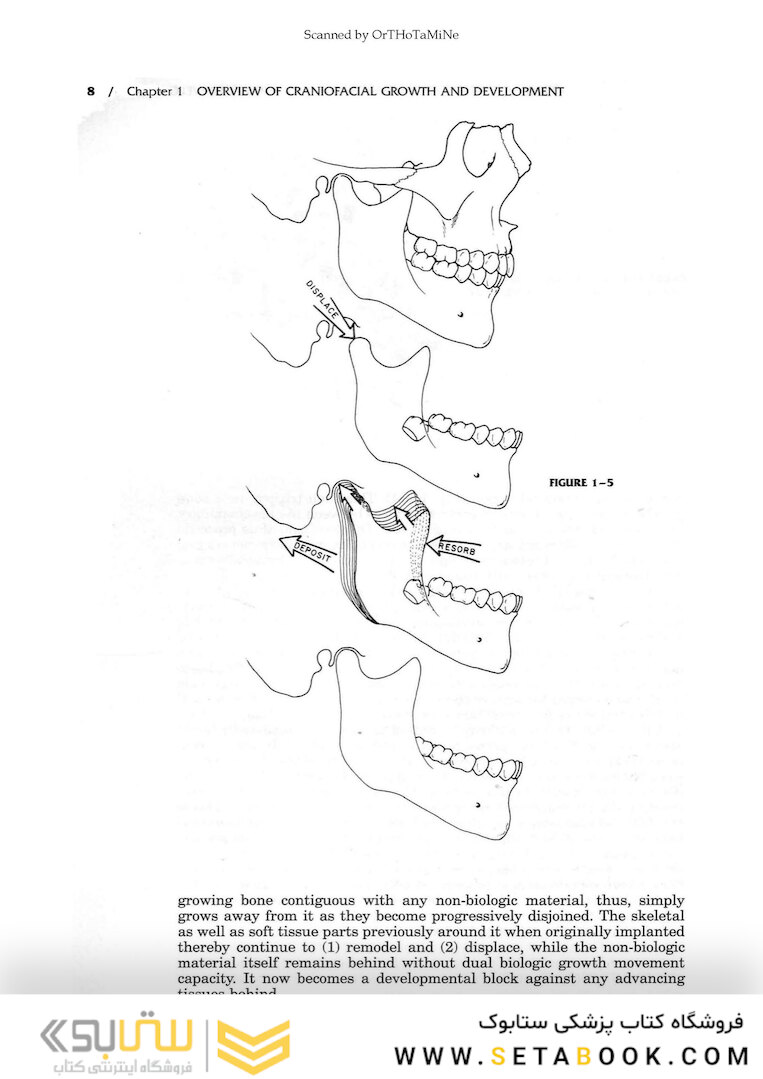Essentials of Facial Growth