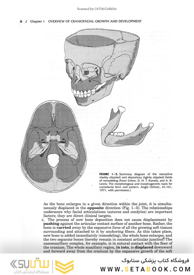 Essentials of Facial Growth