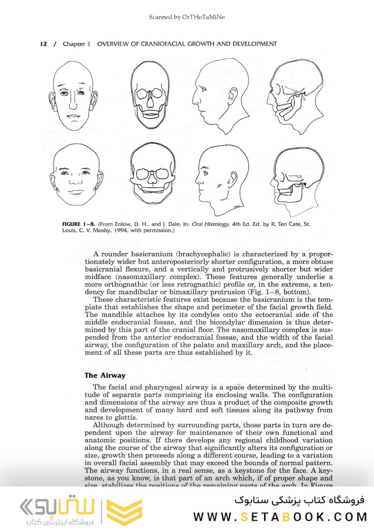 Essentials of Facial Growth